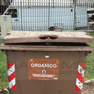 Ventimiglia, l’appello degli ambulanti: "Odori e insetti vicino ai giardini, situazione ormai difficile da sopportare" Ventimiglia, l’appello degli ambulanti: "Odori e insetti vicino ai giardini, situazione ormai difficile da sopportare"