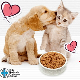 Arma di Taggia: oggi da 'Fortesan' i volontari dell'Enpa raccoglieranno cibo per i '4 zampe' meno fortunati