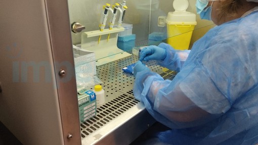Coronavirus: oggi 346 casi in Liguria e 32 in provincia di Imperia, cala al 16% il tasso di positività Coronavirus: oggi 346 casi in Liguria e 32 in provincia di Imperia, cala al 16% il tasso di positività