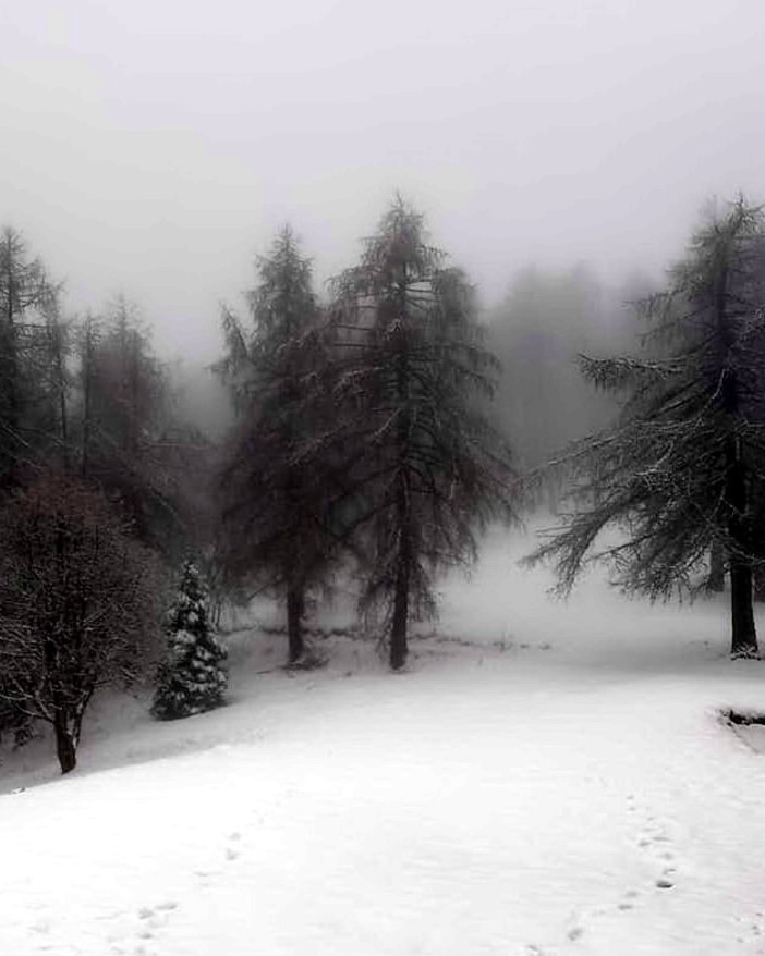 La situazione di Colle Melosa, ieri dal rifugio 'Allavena' La situazione di Colle Melosa, ieri dal rifugio 'Allavena'
