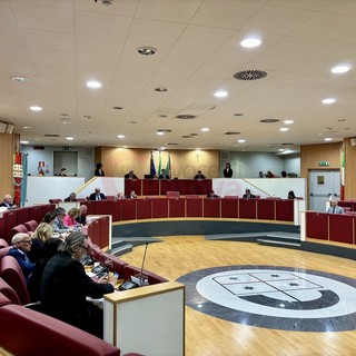 Il consiglio regionale Il consiglio regionale