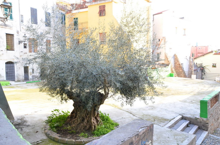 Sanremo: la prima galleria civica espositiva nella Pigna,  inaugurazione oggi pomeriggio