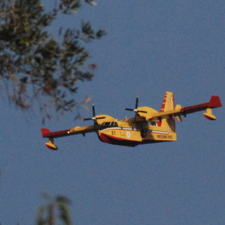 Imperia: spento l'incendio di regione Chiappa a Villa Faraldi, ora parte la bonifica
