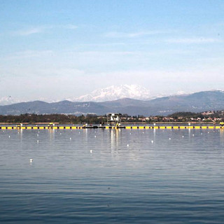 A Varese si prepara la Coppa del Mondo: gli azzurri del remo sono già arrivati A Varese si prepara la Coppa del Mondo: gli azzurri del remo sono già arrivati
