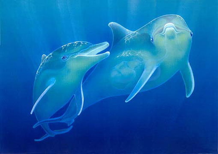 Genova: nel pomeriggio a Palazzo Ducale si riunisce il comitato scientifico del Santuario dei Cetacei Genova: nel pomeriggio a Palazzo Ducale si riunisce il comitato scientifico del Santuario dei Cetacei