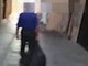 Sanremo: ci lamentiamo spesso dei rifiuti e delle discariche, ecco le immagini che non vorremmo mai vedere (Video)