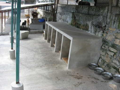 Sanremo: una lettrice che vive in Francia ci scrive nuovamente sulla vicenda Enpa-Canile