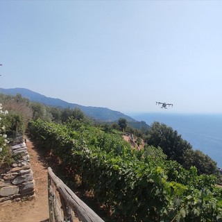 Tra Liguria e Piemonte: gemellaggio Langhe-Cinque Terre per svolta green coi droni
