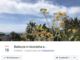 Sanremo: immortalate il bello durante una pedalata, al via il concorso fotografico “Bellezze in bicicletta e…” de I Deplasticati Sanremo: immortalate il bello durante una pedalata, al via il concorso fotografico “Bellezze in bicicletta e…” de I Deplasticati