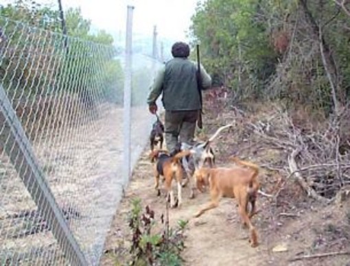 Prosegue la discussione sulla caccia: un nostro lettore risponde a Fabio Prosegue la discussione sulla caccia: un nostro lettore risponde a Fabio