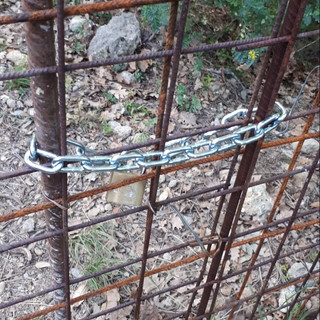 Chiusura di una mulattiera in località Collasgarba: i cittadini Pac scrive ai sindaci di Camporosso e Ventimiglia Chiusura di una mulattiera in località Collasgarba: i cittadini Pac scrive ai sindaci di Camporosso e Ventimiglia