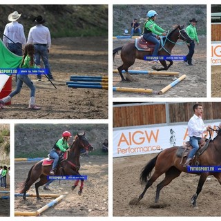 Equitazione. Tutte le emozioni del Campionato Europeo AIGW Performance di Taggia (FOTO)