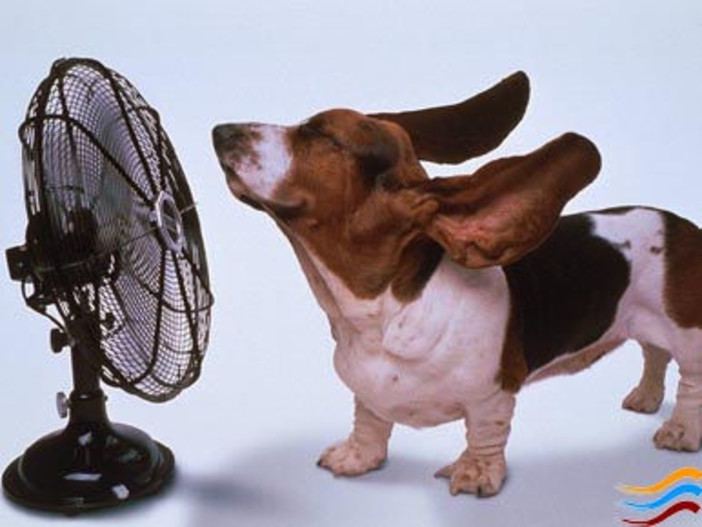 Aumentano le temperature: per ora picco massimo a Diano con 37 gradi, emesso l'avviso per disagio fisiologico da caldo