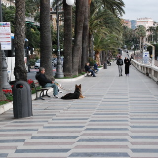 Sanremo: l'amara protesta di un esercente "Noi dell'Imperatrice abbandonati dall'Amministrazione" Sanremo: l'amara protesta di un esercente "Noi dell'Imperatrice abbandonati dall'Amministrazione"