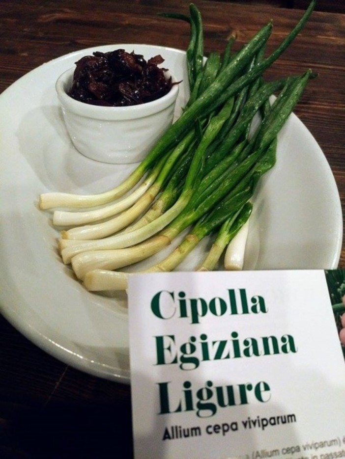 La Cipolla Egiziana ligure affascina anche il Piemonte: da oggi è nel menù della “Ca Veja” di Lequio Tanaro in provincia di Cuneo.
