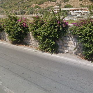 Ventimiglia: potatura della bouganville in corso Genova, proteste degli automobilisti ma lavori obbligatori