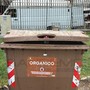 Ventimiglia, l’appello degli ambulanti: "Odori e insetti vicino ai giardini, situazione ormai difficile da sopportare"