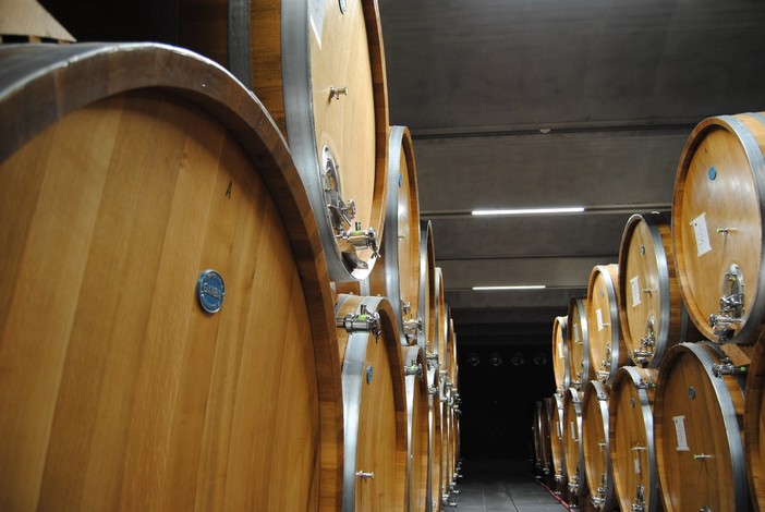 Alla cantina Terre del Barolo un ricco autunno tra vendemmia, fine lavori nei nuovi locali e la novità dello spumante metodo Classico Extra Brut Blanc De Blancs Alla cantina Terre del Barolo un ricco autunno tra vendemmia, fine lavori nei nuovi locali e la novità dello spumante metodo Classico Extra Brut Blanc De Blancs