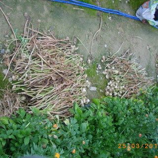 Cancellato il profilo su Facebook di 'Castellaro no cava', le proteste