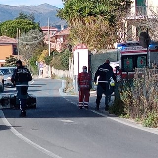 Imperia: cinghiale 'investe' un uomo sullo scooter, centauro soccorso e portato in ospedale (Foto) Imperia: cinghiale 'investe' un uomo sullo scooter, centauro soccorso e portato in ospedale (Foto)