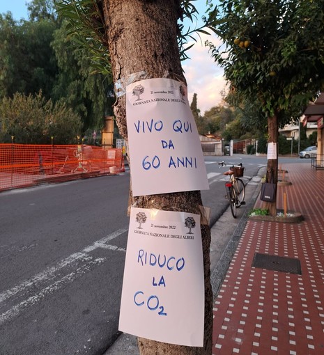 A Vallecrosia la protesta per l'abbattimento degli alberi in via Don Bosco