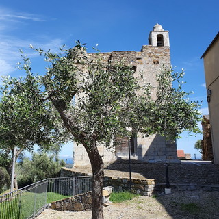 Giovedì in cammino da Costarainera a Lingueglietta con la guida escursionistica e guida parco Marina Caramellino Giovedì in cammino da Costarainera a Lingueglietta con la guida escursionistica e guida parco Marina Caramellino
