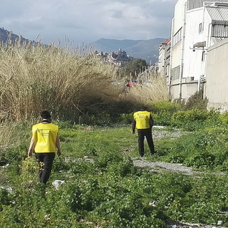Imperia: segnalazione di bocconi avvelenati al Parco Urbano, controllo degli osservatori ambientali (Foto) Imperia: segnalazione di bocconi avvelenati al Parco Urbano, controllo degli osservatori ambientali (Foto)