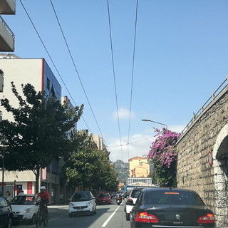 Ventimiglia: proseguono in tutto corso Genova i lavori di potatura della bouganville Ventimiglia: proseguono in tutto corso Genova i lavori di potatura della bouganville