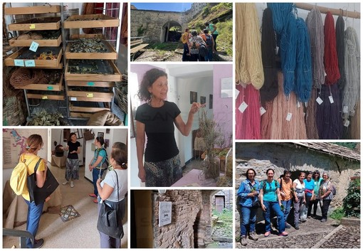 Carpasio: due giorni indimenticabili tra Museo della Lavanda e Ostello per il piccolo borgo dell'entroterra (Foto) Carpasio: due giorni indimenticabili tra Museo della Lavanda e Ostello per il piccolo borgo dell'entroterra (Foto)