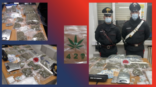 Sanremo: i Carabinieri gli trovano in casa quasi due chili di marijuana, arrestato 27enne della zona