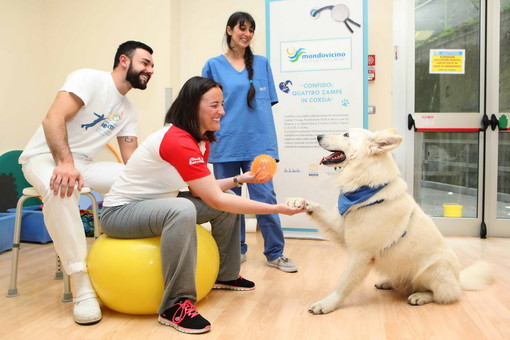 ConFido: Quattro Zampe in corsia, dal progetto pilota ai risultati dopo nove mesi di ricerca ConFido: Quattro Zampe in corsia, dal progetto pilota ai risultati dopo nove mesi di ricerca