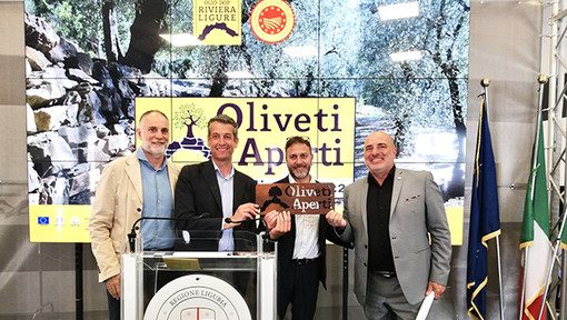 Il 18 e 19 giugno torna 'Oliveti Aperti', la Liguria celebra l’olivicoltura eroica da Ponente a Levante