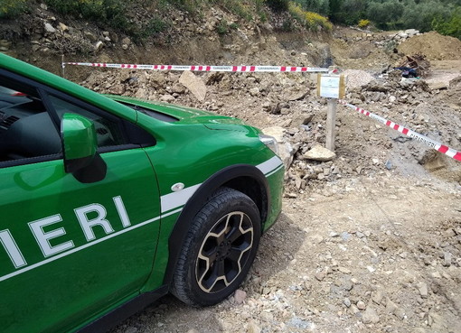 Dolceacqua: rubano piante di 'euforbia spinosa' da un terreno del Comune, denunciati 3 albanesi