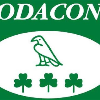 Badalucco, Dolceacqua, Mendatica, Ospedaletti, Perinaldo e Rezzo si contendono il premio “Piccolo comune amico”