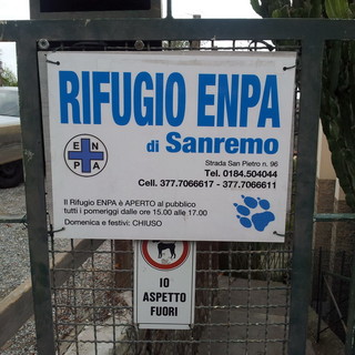 Sanremo: apertura per la convenzione Comune-ENPA, la soddisfazione del Commissario Straordinario del canile