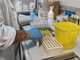 Coronavirus: altri 66 positivi oggi nel Principato di Monaco, sono 77 i pazienti in ospedale
