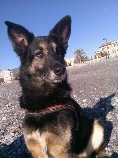 Isha, 11 anni Isha, 11 anni
