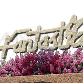 Sanremo, il weekend dei fiori conquista 45mila presenze: Albergatori e commercianti "Qualità in crescita e città protagonista"