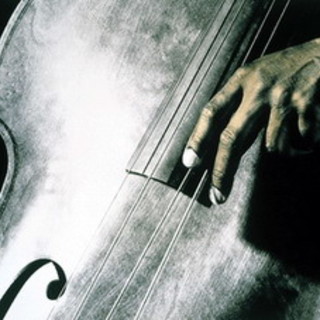 Escursione notturna in motonave: il venerdì è 'dixie' a bordo della Dea Diana