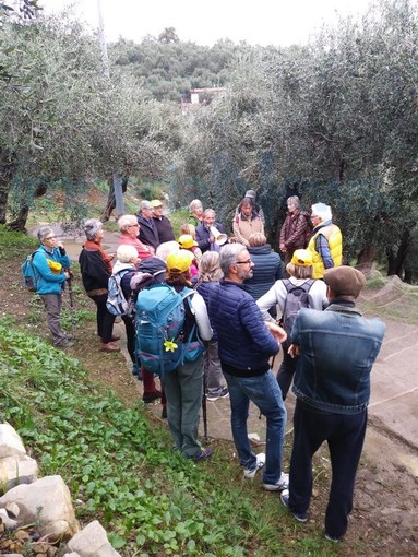 Imperia: ottima iniziativa ieri durante 'Olioliva' per la 'Camminata a Costa d'Oneglia' (Foto)