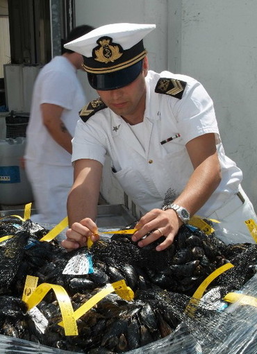Operazione ‘Mekong’: su filiera commerciale e su vigilanza pesca, ‘blitz’ a dicembre della Guardia Costiera Operazione ‘Mekong’: su filiera commerciale e su vigilanza pesca, ‘blitz’ a dicembre della Guardia Costiera