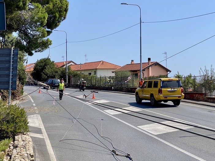 Bordighera: modifiche alla viabilità per rimozione della linea filoviaria di Riviera Trasporti