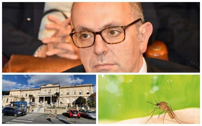 Dengue a Sanremo, il primario Cenderello: "Nessun allarme, è soprattutto un caso di interesse epidemiologico" Dengue a Sanremo, il primario Cenderello: "Nessun allarme, è soprattutto un caso di interesse epidemiologico"