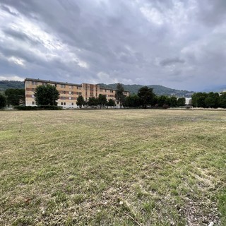 Abbattuti 32 alberi alle Ex Caserme Revelli, l’allarme di Progettiamo il Futuro: “Servono trasparenza e ripiantumazioni”