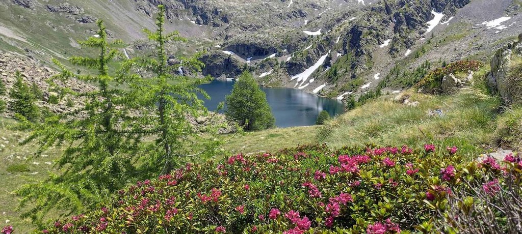 Dal Vallone Di Vens Ai Laghi Alpini Il CAI Bordighera Conquista Uno 