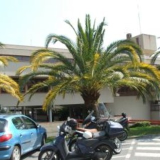 Taggia: riduzione del 40% della TOSAP per occupazione temporanee Taggia: riduzione del 40% della TOSAP per occupazione temporanee