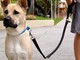 La città di Bordighera apre i parchi ai cani ma tenuti al guinzaglio: esclusi i giochi per bambini La città di Bordighera apre i parchi ai cani ma tenuti al guinzaglio: esclusi i giochi per bambini