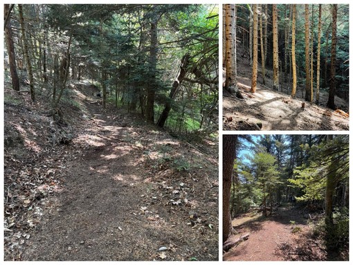 Mtb, escursione alla scoperta dei sentieri di Gouta: torna "Castrum Barbaire Outdoor Day" (Foto)