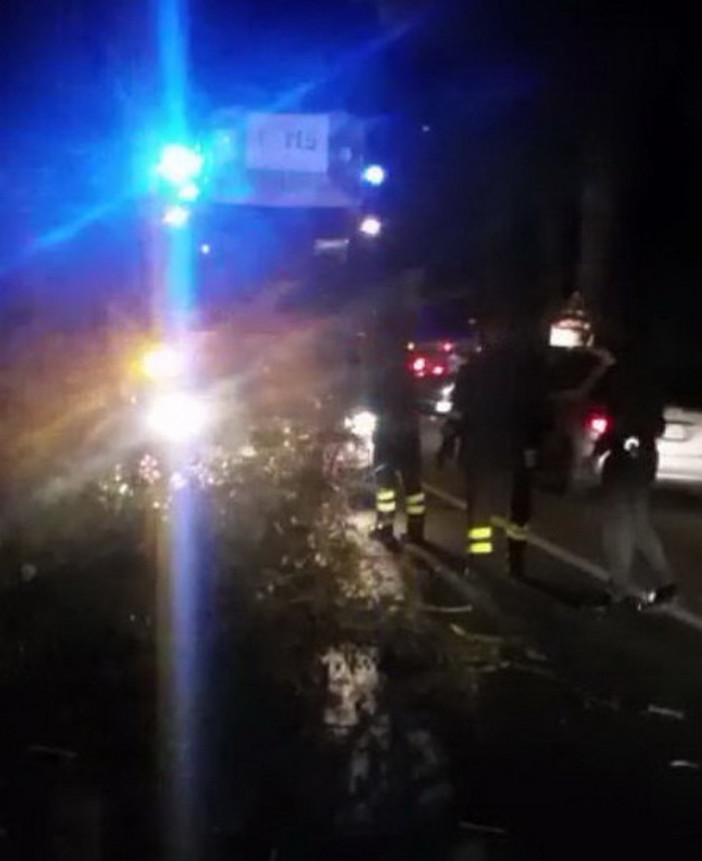 San Lorenzo al Mare: la forza del vento fa crollare una bouganville, Aurelia parzialmente bloccata e code (Foto e Video)