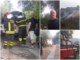Incendio di Costa d'Oneglia, la testimonianza di un residente: "Le fiamme a venti metri da casa" (Video) Incendio di Costa d'Oneglia, la testimonianza di un residente: "Le fiamme a venti metri da casa" (Video)